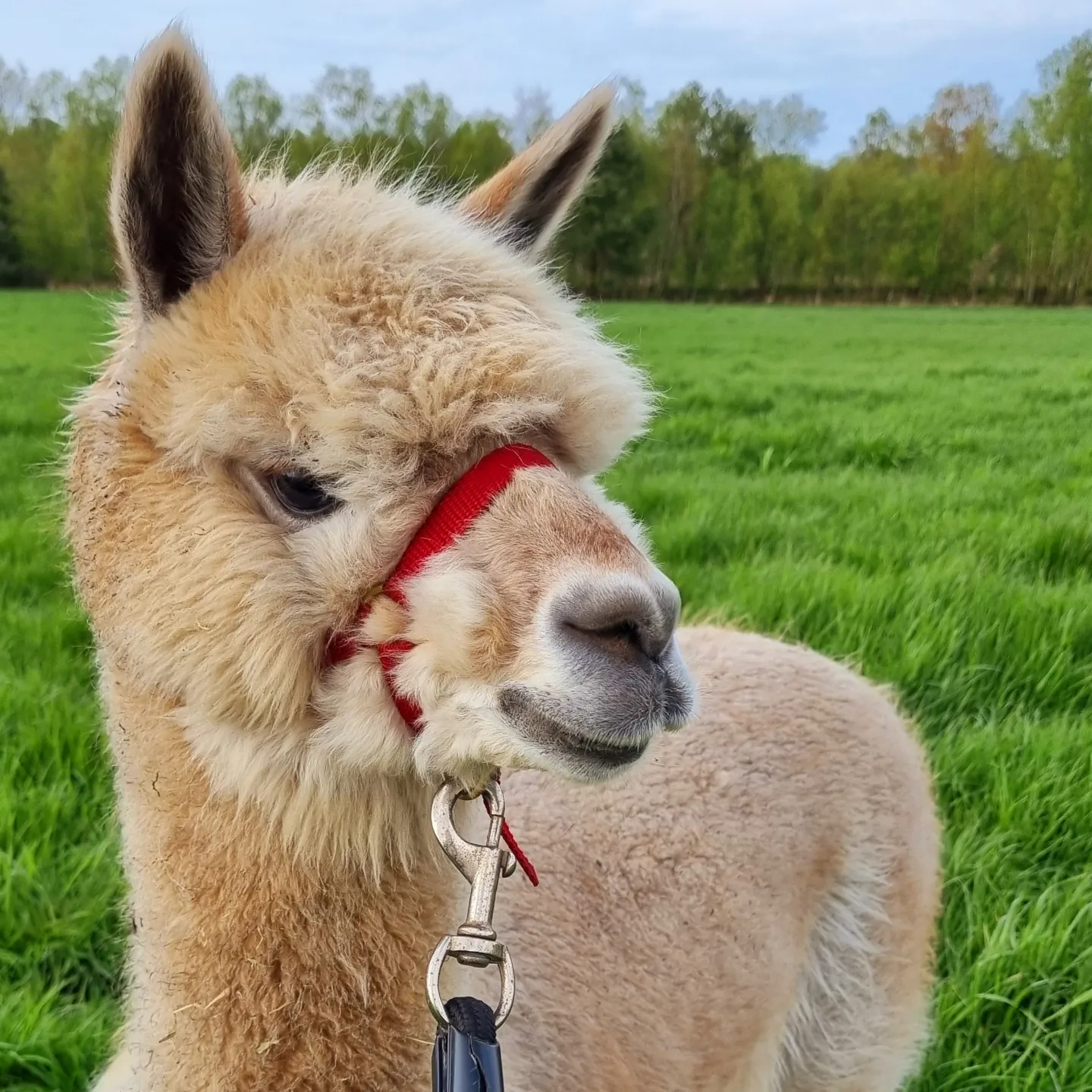 IMG_20230501_213345_440